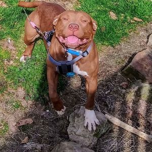 Meet your Posher, Ben n amanda